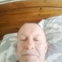 Stevo