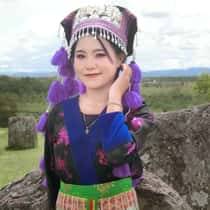 Desy