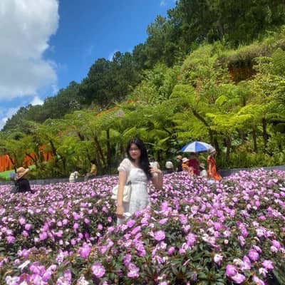 Le Nhu