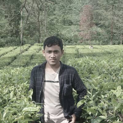 Diejal prasetiyo
