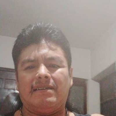 Jos flores