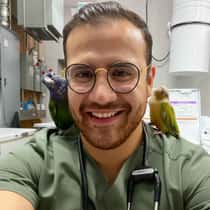 Jarmy