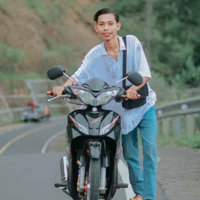 Ari wibowo
