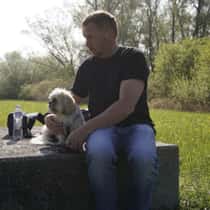 Hansi