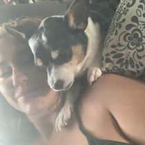 Bella