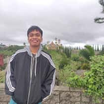 raymart montineo