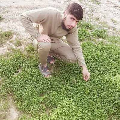 hamza