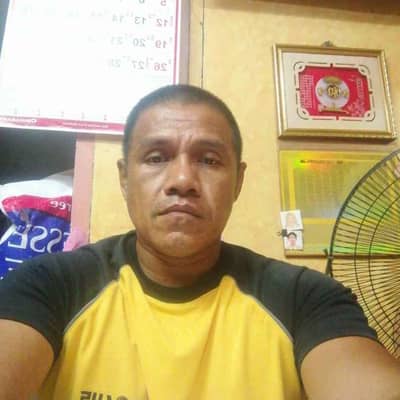 dandan