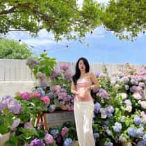 Li Jing