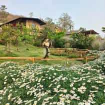 Huong
