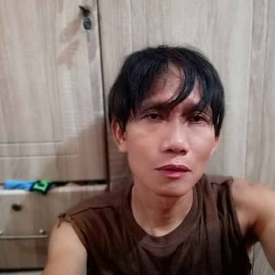 Ydsel lamida