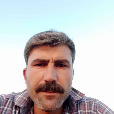 Süleyman