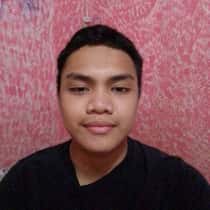 Zild T