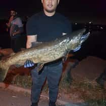 angelito