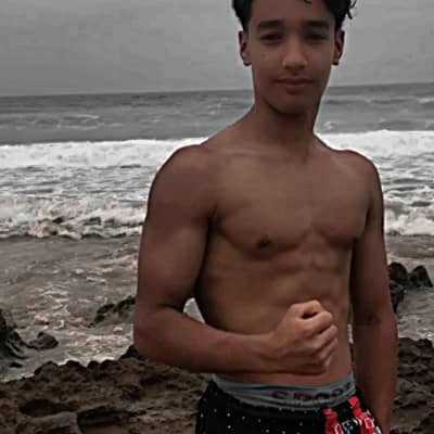Imad elk