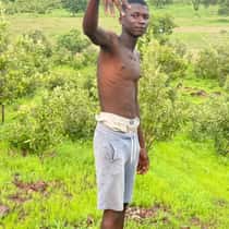 Alieu maari
