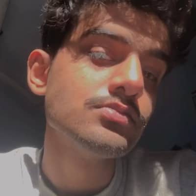 zayn