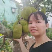 Anh Kiều