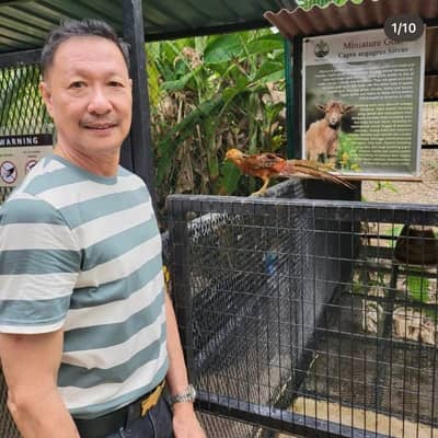 Mark Chua