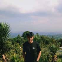 Ardi