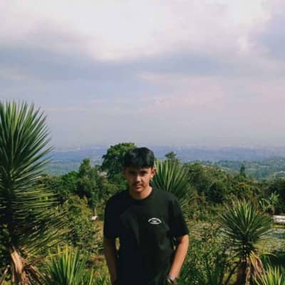 Ardi