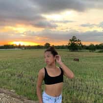 Arche cayanong