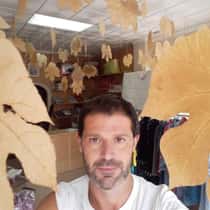 Bitgaram Seong