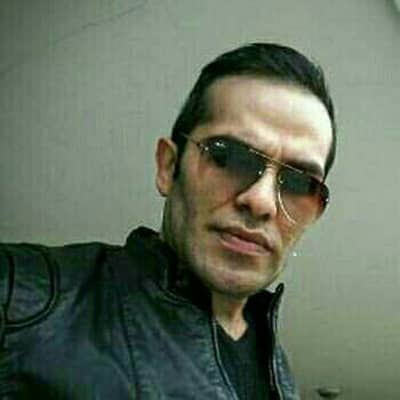 Aidin lexii