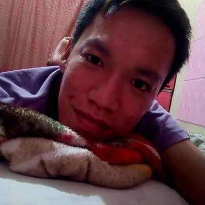 Ardee