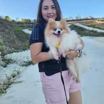 wilma