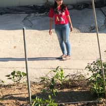 LEE JI YEONG