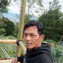 Andy