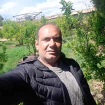 hamdi