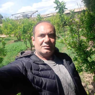 hamdi