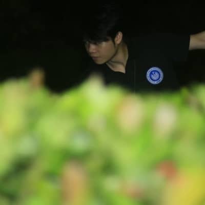 王先生