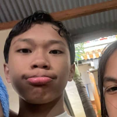 Lanceie 