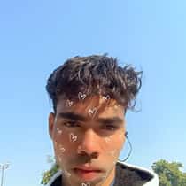 Vivek 