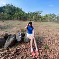 NYTA 
