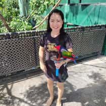 chacha