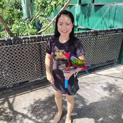 chacha
