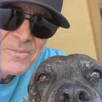 Massi